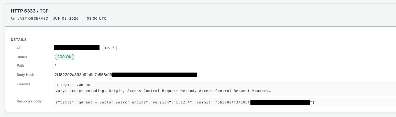 Censys host detail for a Qdrant service on port 6333 returning its version banner